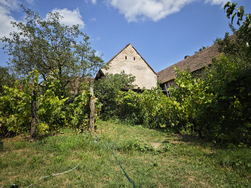 IMG 20230716 151030.jpg