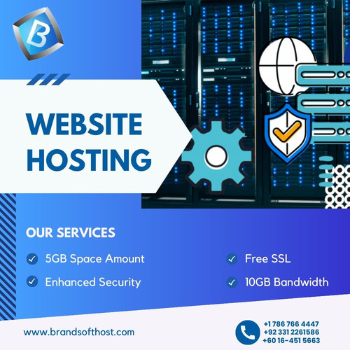 BrandsoftHost Secure Web Hosting Services.jpg