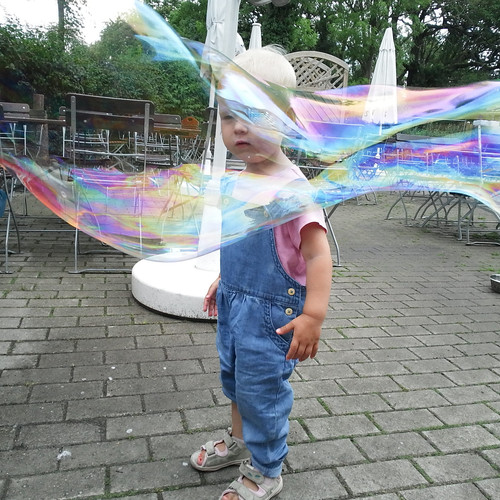DSCF6559.jpg