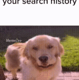 ezgif 5 7ef4c35bf7.gif