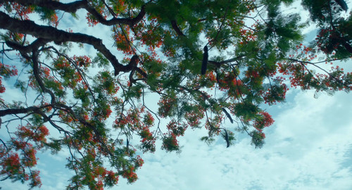 [第一炉香].Love.After.Love.2020.BluRay.1080p.x264.AC3 CMCT.mkv 000207.645.jpg