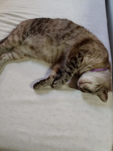 IMG 20230718 170627.jpg