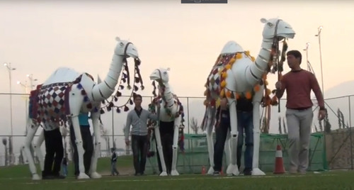 camelos puppet.jpg