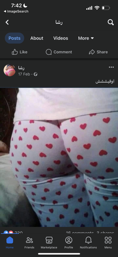 IMG 4623.png