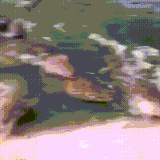 krokura.gif