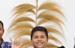 image.jpg
