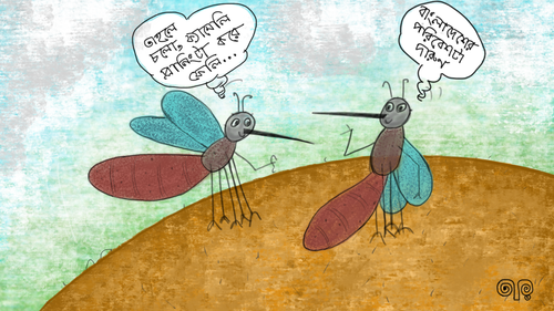 mosquito1.png