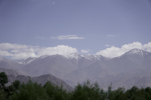 ZVE00800.jpg