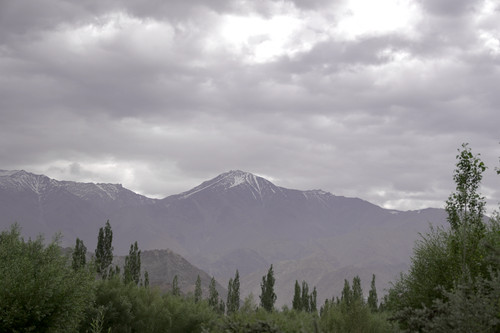 ZVE00858.jpg