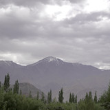 ZVE00858