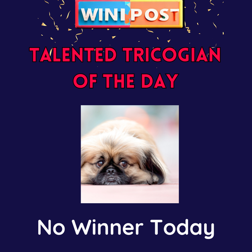 Tricog quiz result (52).png