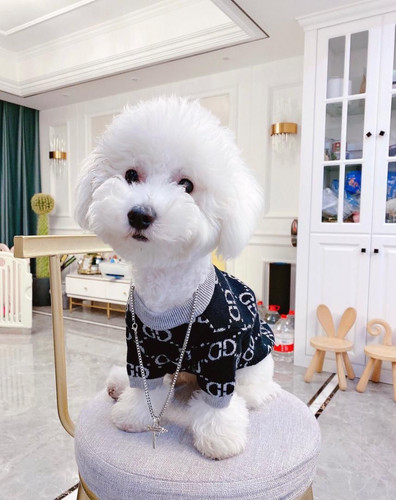 2022 01 14 16 59 FD6835BE BC7E 491F 98A5 9EB04C1A2E0C.jpg