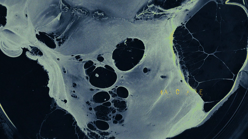 b2063951a693.png