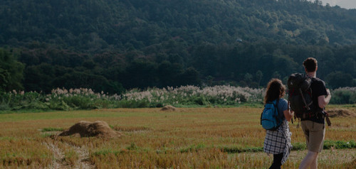 email banner.jpg