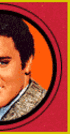 oie overlay.gif