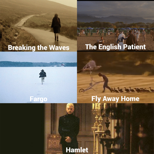 1996 cinematography.png