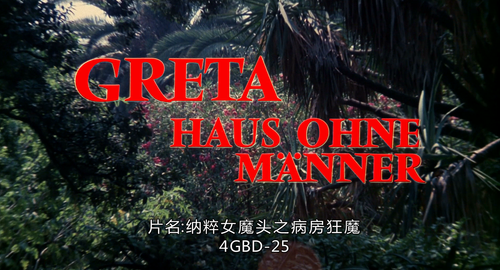 纳粹女魔头之病房狂魔.png