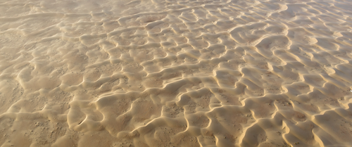 Dune.png