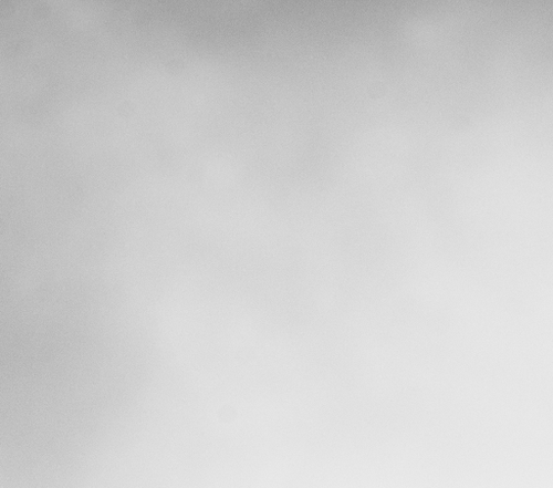 1d01f3c0716f.png
