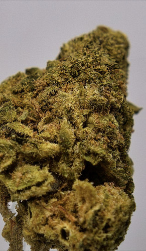 Blue Cookies (7 17) inspiration.jpg