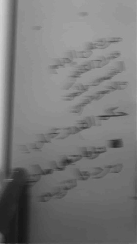 65CFA230 350C 4FC7 B186 48442AA20CED.jpg