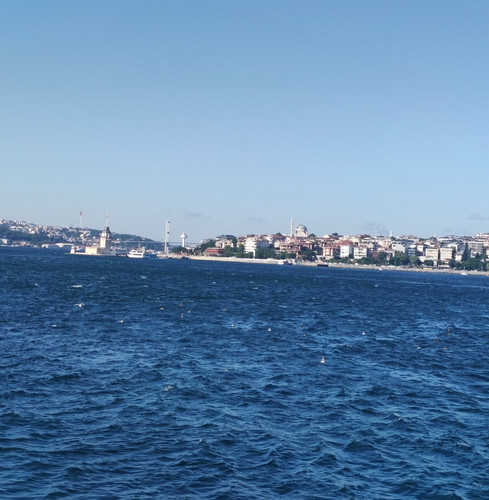 IMG 20230718 011244.jpg