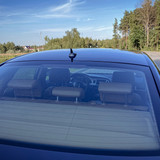 Audi (27)