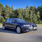 Audi (8)
