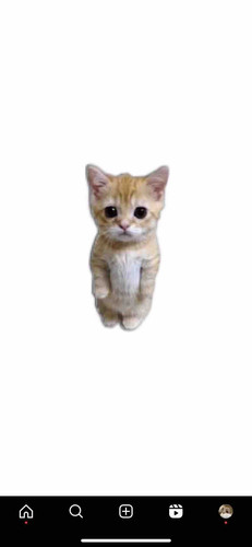 8AB22459 C7A8 4981 98F0 F99CF1A746B6.jpg