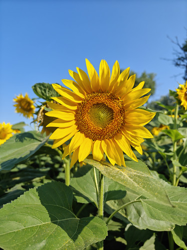 IMG20230716080521.jpg