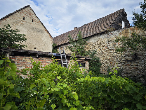 IMG 20230720 180345.jpg