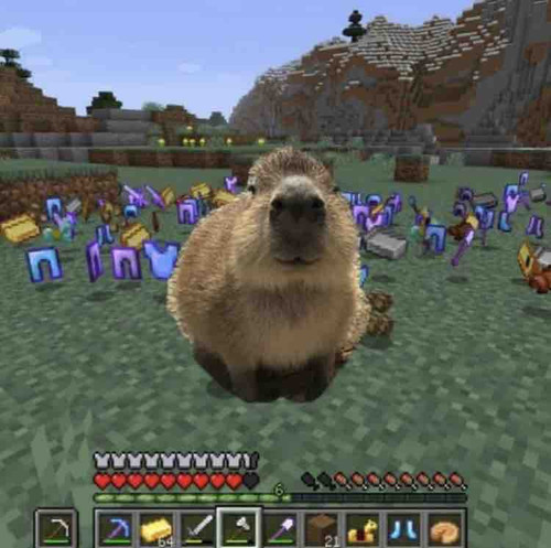 C3258C53 5221 4985 A9D6 542BC180095F.jpg