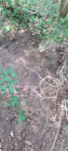 IMG 20230720 192024 443.jpg