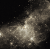 6.gif