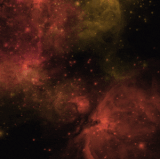 10.gif