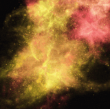 7.gif