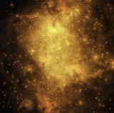 5.gif