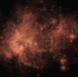 9.gif