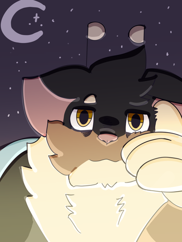 IMG 3417.png