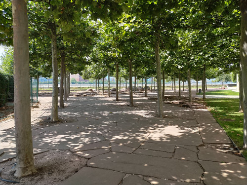 IMG 20230716 134657.jpg