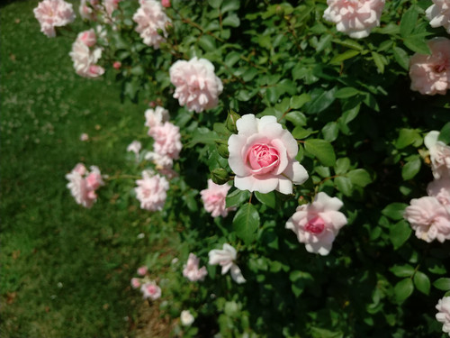 IMG 20230716 135340.jpg