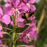 PXL 20230713 1.PORTRAIT