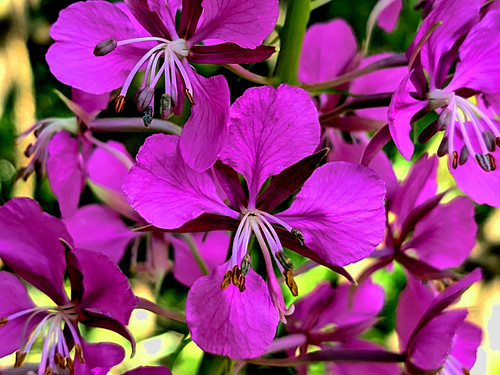 PXL 20230713 5 1.PORTRAIT.jpg