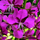 PXL 20230713 5 1.PORTRAIT