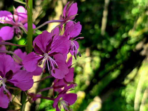 PXL 20230713 7 1.PORTRAIT.jpg