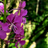 PXL 20230713 7 1.PORTRAIT