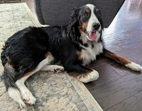 PXL 20230713 193032236~2