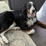 PXL 20230713 193032236~2