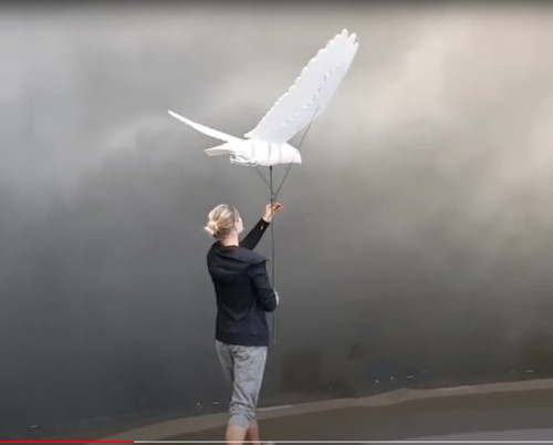 falcon 2.jpg