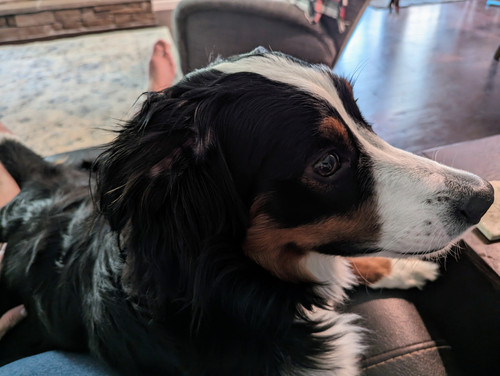 PXL 20230718 214851734